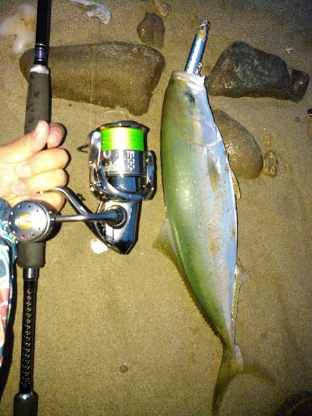 ジャイアントドックX